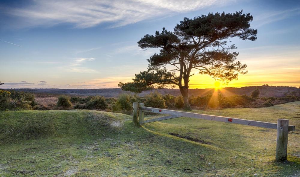 The Knightwood Oak A Luxury King Size En-Suite Space - Lymington New Forest With Totally Private Entrance - Key Box Entry - Free Parking & Private Outdoor Seating Area - Town ,Shops , Pubs & Solent Way Walking Distance & Complimentary Breakfast Items Bagian luar foto